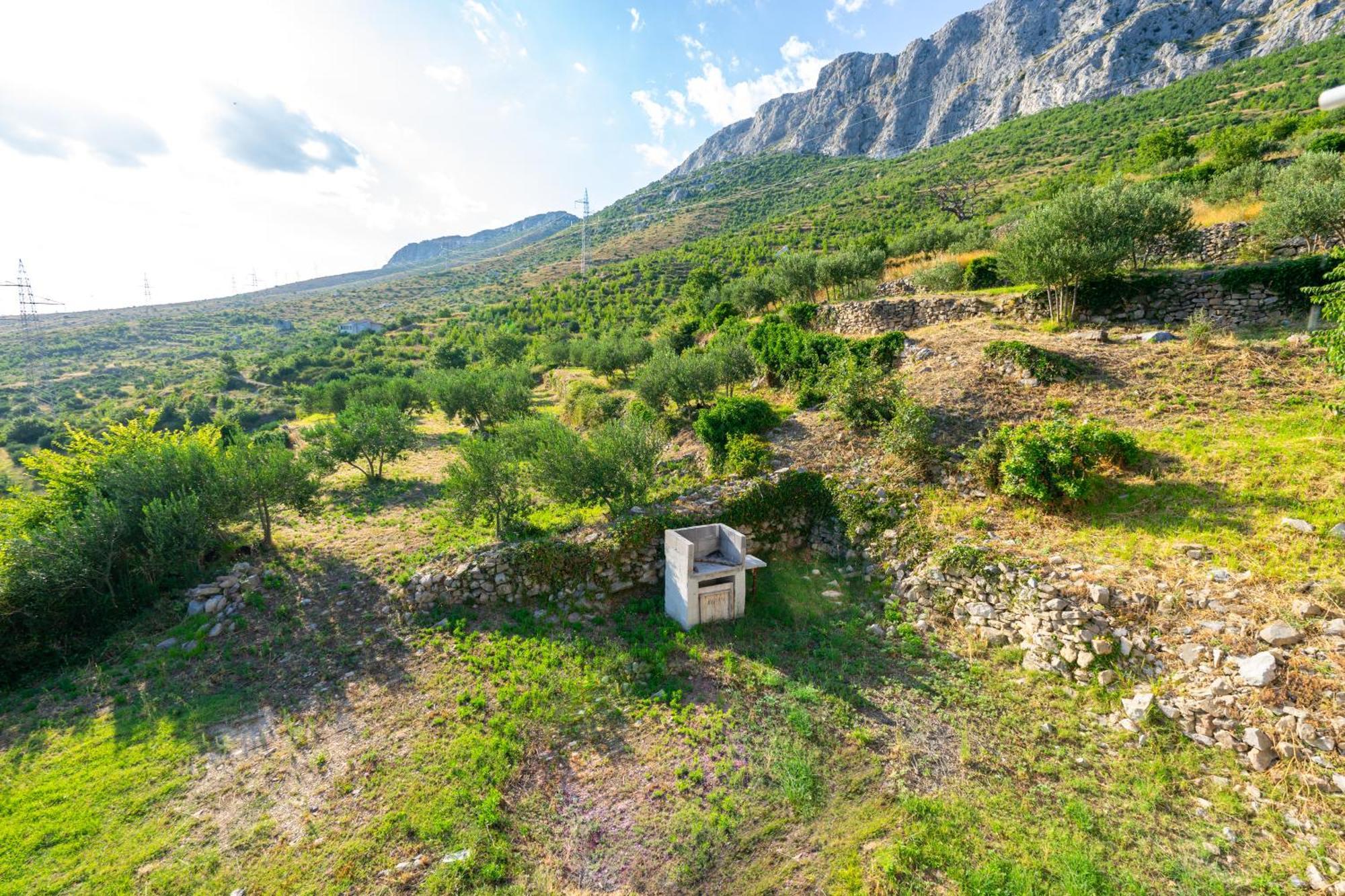Olive Garden House In Zrnovnica With A View & Bbq别墅 外观 照片